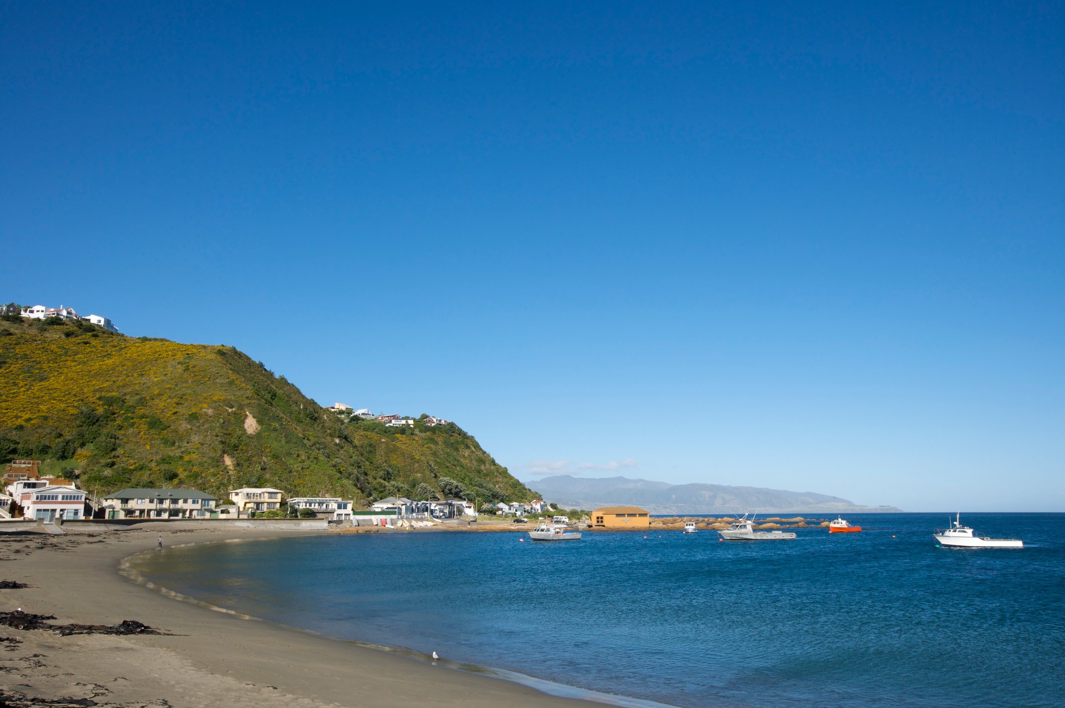 Island Bay from the beach