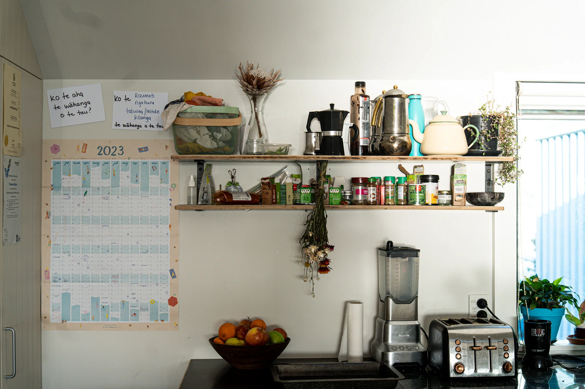 Photos from around the whare