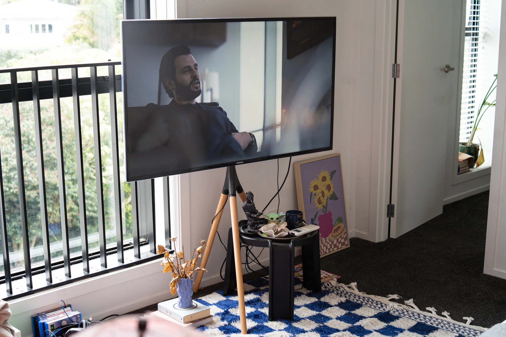 Joey's television and blue and white checkered rug