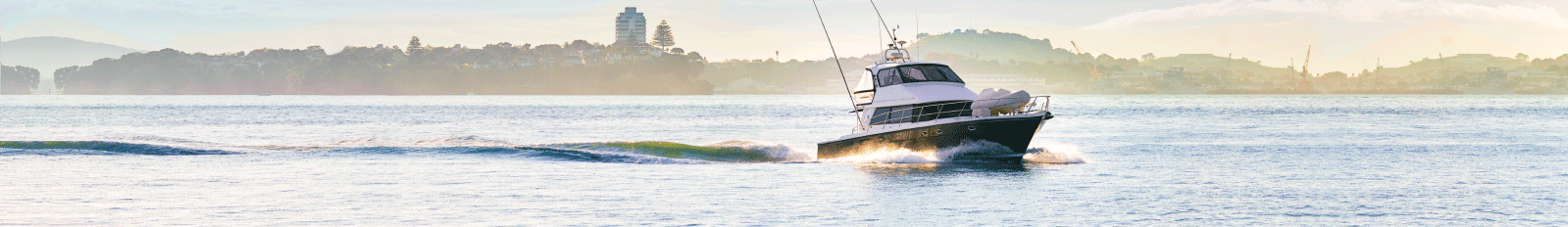 Boats for sale NZ banner