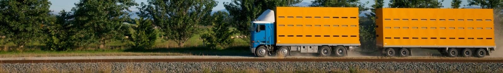 Trucks for sale NZ banner