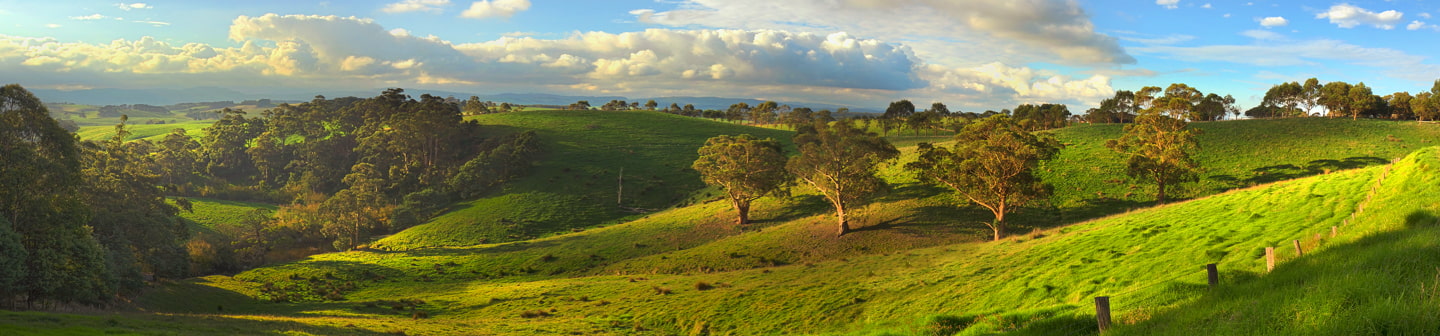 Rural Properties for Sale in New Zealand banner